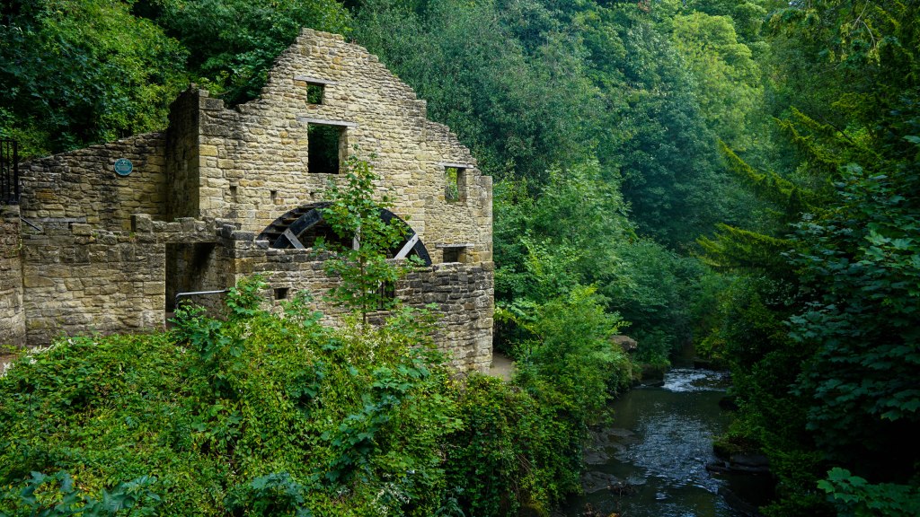 Jesmond Dene -A Little Patch of&nbsp;Serenity.