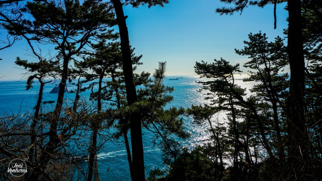 A Little Bit of Paradise at Taejongdae&nbsp;(태종대)