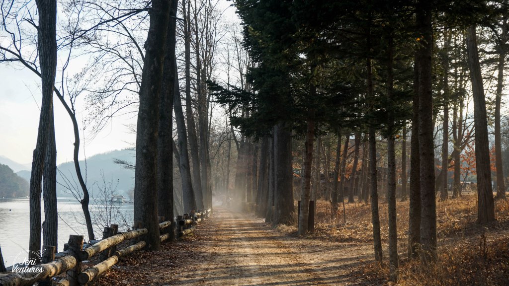 Nami Island – Singing My Own Winter Sonata&nbsp;(남이섬)