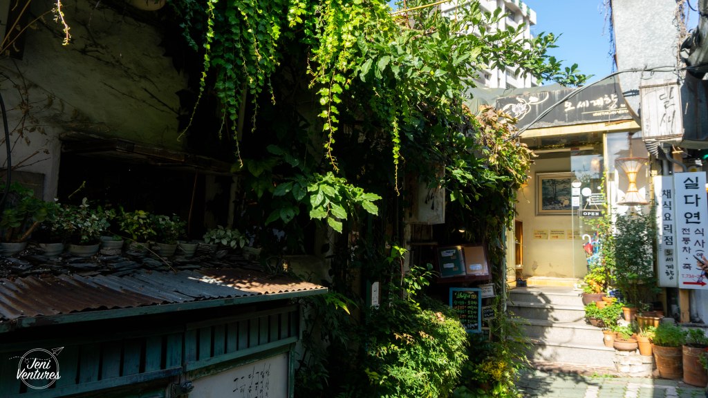 Vegan in Korea: Oh Se Gae Hyang Restaurant&nbsp;(오세계향)